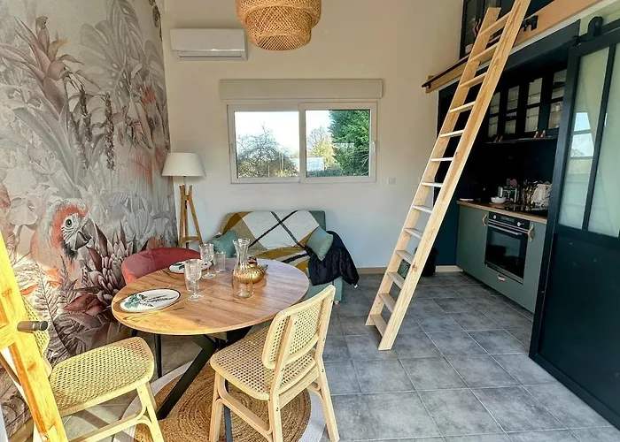 - - Le Champ Des Oiseaux *