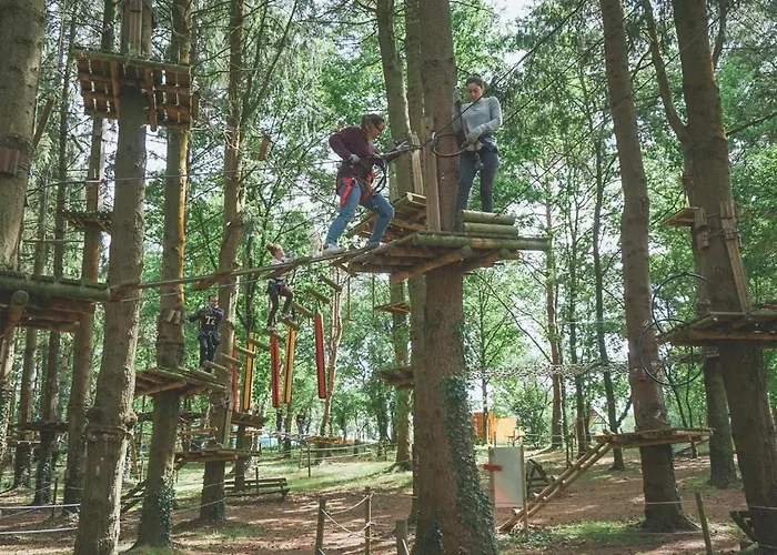 Dom wakacyjny - - Le Champ Des Oiseaux Plessé