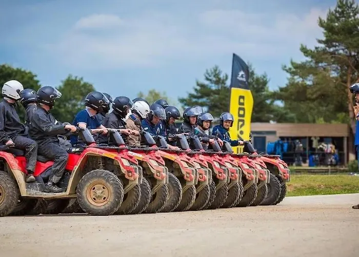 - - Le Champ Des Oiseaux