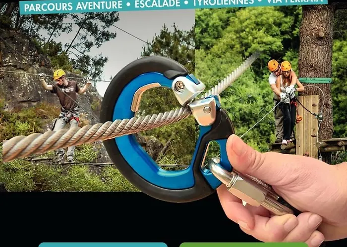 - - Le Champ Des Oiseaux * Plessé